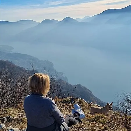 Le Fate Del Nocleg ze śniadaniem Lierna